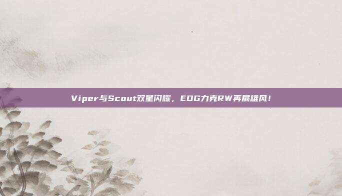 Viper与Scout双星闪耀，EDG力克RW再展雄风！