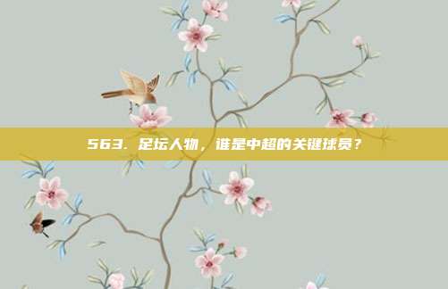 563. 足坛人物，谁是中超的关键球员？