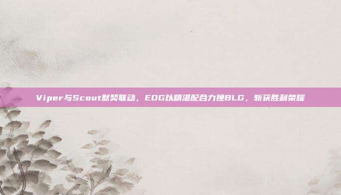 Viper与Scout默契联动，EDG以精湛配合力挫BLG，斩获胜利荣耀