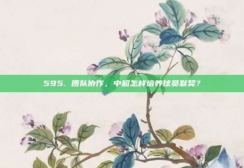 595. 团队协作，中超怎样培养球员默契？