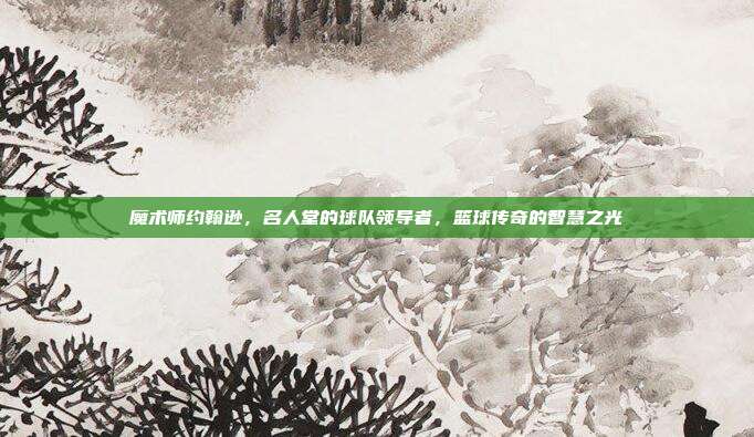 魔术师约翰逊，名人堂的球队领导者，篮球传奇的智慧之光