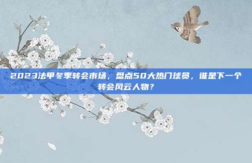 2023法甲冬季转会市场，盘点50大热门球员，谁是下一个转会风云人物？